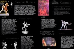 Ballett Webseite