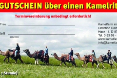 Gutscheine