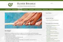 Wordpress Webseite Unternehmensberatung