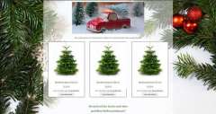 Weihnachtsbaumportal