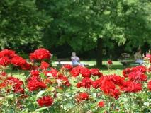 Kurpark Bad Wörishofen Rosengehege