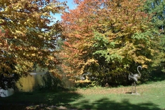 Kurpark Bad Wörishofen