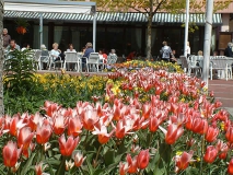 Kurpark Bad Wörishofen