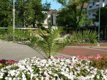 Kurpark Bad Wörishofen