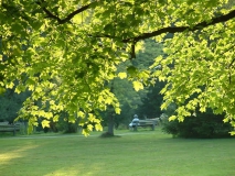 Bad Wörishofen Kurpark
