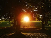Bad Wörishofen Kurpark Sonnenuntergang