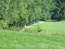 Bad Wörishofen Erholungswald