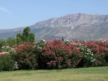 Split in Kroatien
